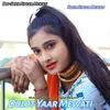 About Dulot Yaar Mewati Song